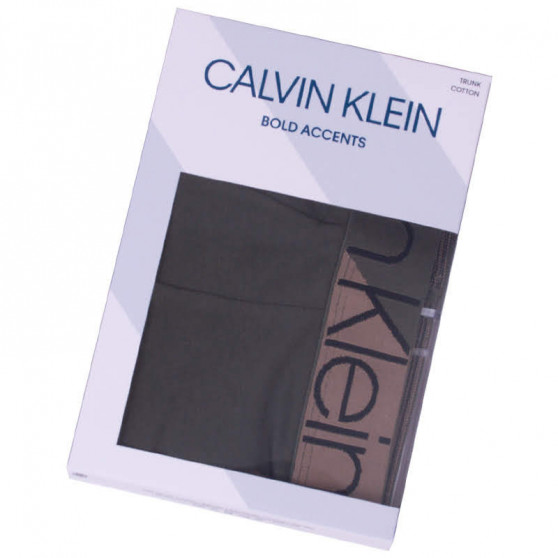 Herren Klassische Boxershorts Calvin Klein grün (NB1680A-TBY)