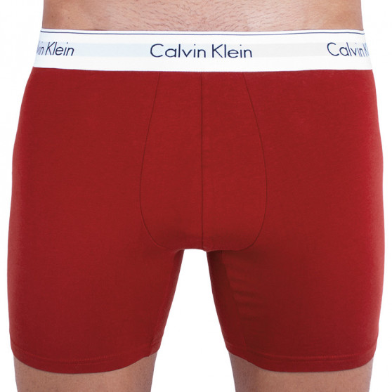 2PACK Herren Klassische Boxershorts Calvin Klein mehrfarbig (NB1087A-YRP)