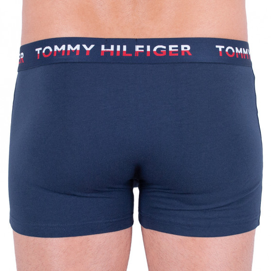 2PACK Herren Klassische Boxershorts Tommy Hilfiger mehrfarbig (UM0UM01233 054)