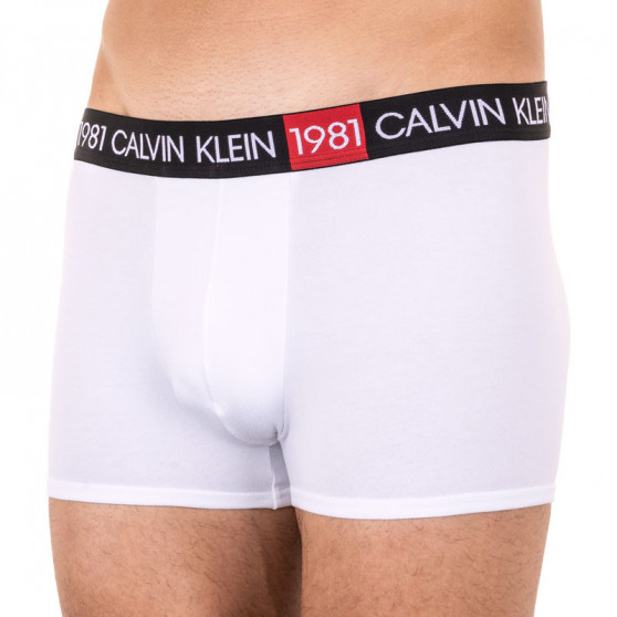 Herren Klassische Boxershorts Calvin Klein weiß (NB2050A-100)