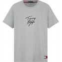Herren T-Shirt Tommy Hilfiger grau (UM0UM01787 P6S)