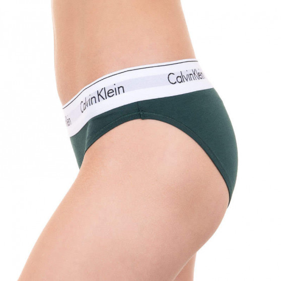 Damen Slips  Calvin Klein dunkelgrün (F3787E-CP2)