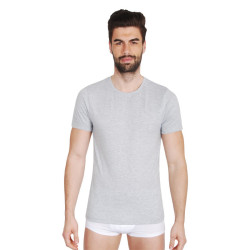 Herren T-Shirt Fila grau (FU5002-400)