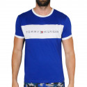 Herren T-Shirt Tommy Hilfiger blau (UM0UM01170 C86)