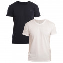 2PACK Herren T-Shirt Gant blau/weiß (901002108-109)