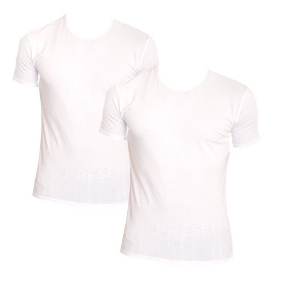 2PACK Herren T-Shirt Calvin Klein weiß (NB1088A-100)