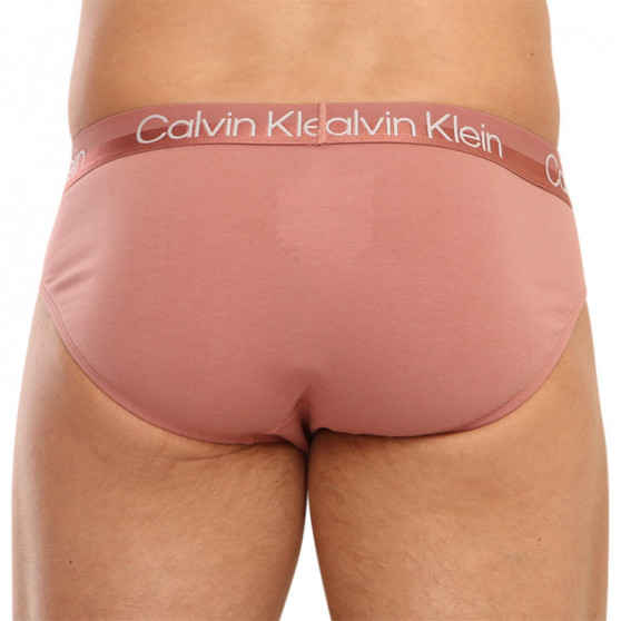 3PACK Herren Slips Calvin Klein mehrfarbig (NB2969A-1RM)
