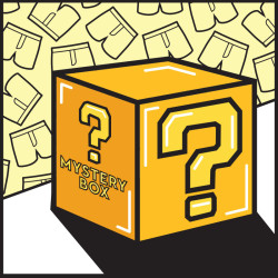 MYSTERY BOX – 5PACK Herren Boxershorts  klassischer Gummizug Styx