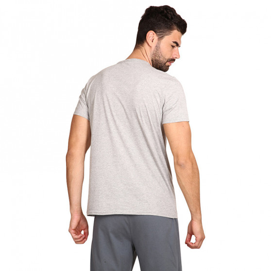Herren T-Shirt Calvin Klein grau (NM1959E-1NN)