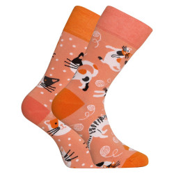 Lustige Socken Dedoles Verspielte Katzen (GMRS216)