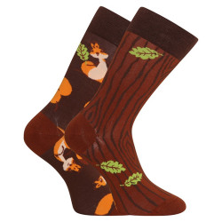 Lustige Socken Dedoles Eichhörnchen (GMRS141)