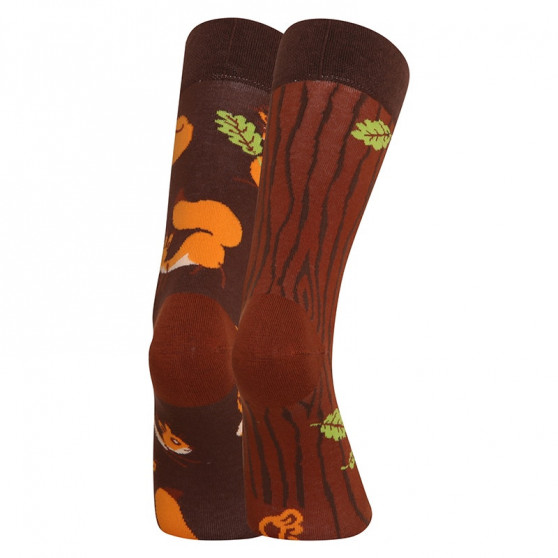 Lustige Socken Dedoles Eichhörnchen (GMRS141)