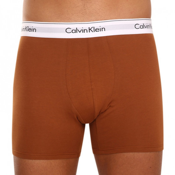 3PACK Herren Klassische Boxershorts Calvin Klein mehrfarbig (NB3345A-8MC)