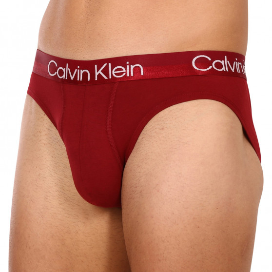 3PACK Herren Slips Calvin Klein mehrfarbig (NB2969A-6IN)