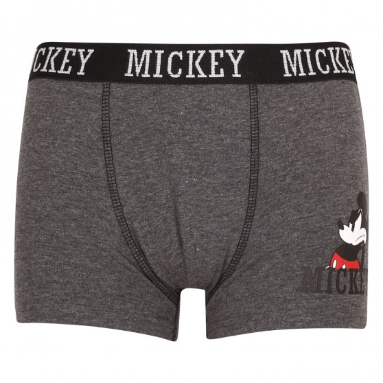 2PACK Jungen Boxershorts E plus MMickey mehrfarbig (52 33 A370)
