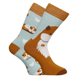 Lustige Socken Dedoles Meerschweinchen (GMRS137)