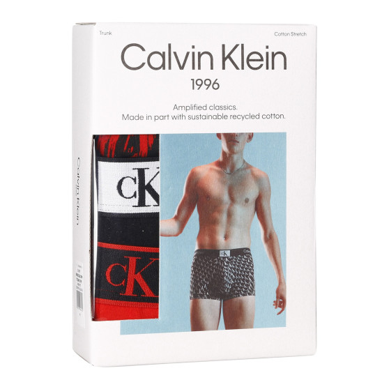 3PACK Herren Klassische Boxershorts Calvin Klein mehrfarbig (NB3528A-DRM)