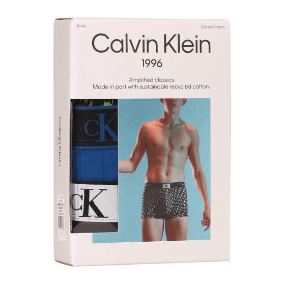 3PACK Herren Klassische Boxershorts Calvin Klein mehrfarbig (NB3528A-DYD)