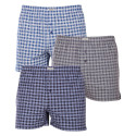 3PACK Herren Boxershorts Andrie mehrfarbig (PS 5736)