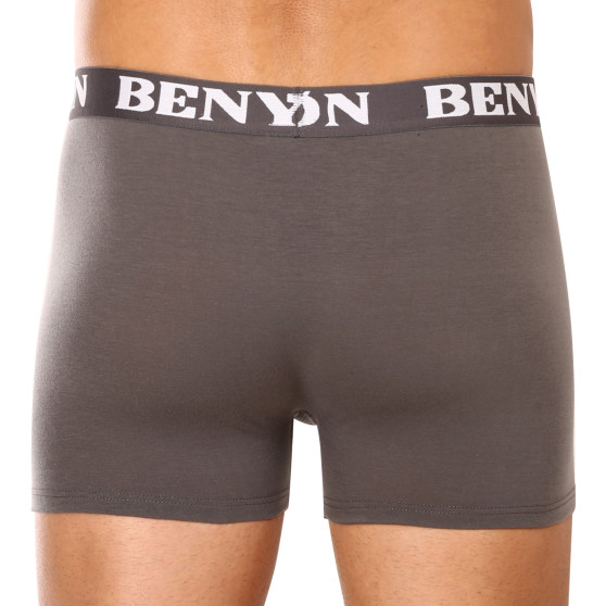 5PACK Herren Klassische Boxershorts Benysøn mehrfarbig (4002)