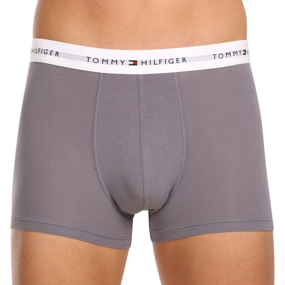 3PACK Herren Klassische Boxershorts Tommy Hilfiger mehrfarbig (UM0UM02768 0UI)