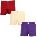 3PACK Herren Boxershorts Dedoles mehrfarbig (LB10001748)