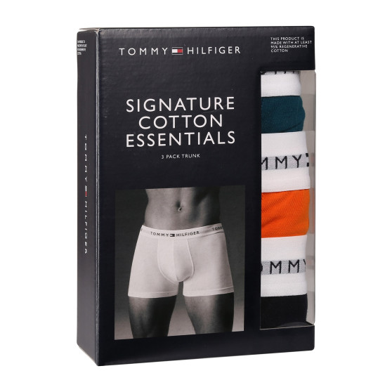 3PACK Herren Klassische Boxershorts Tommy Hilfiger mehrfarbig (UM0UM02761 0VH)