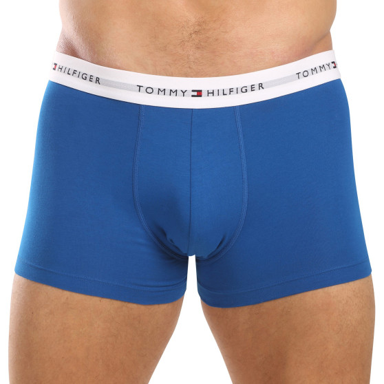 3PACK Herren Klassische Boxershorts Tommy Hilfiger mehrfarbig (UM0UM02768 0UG)