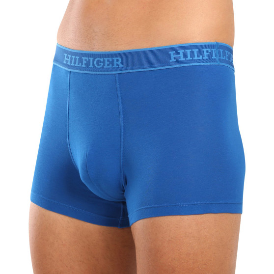 3PACK Herren Klassische Boxershorts Tommy Hilfiger mehrfarbig (1U87903841 004)