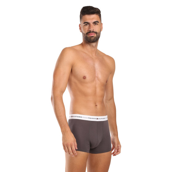 3PACK Herren Klassische Boxershorts Tommy Hilfiger mehrfarbig (UM0UM02761 0UI)