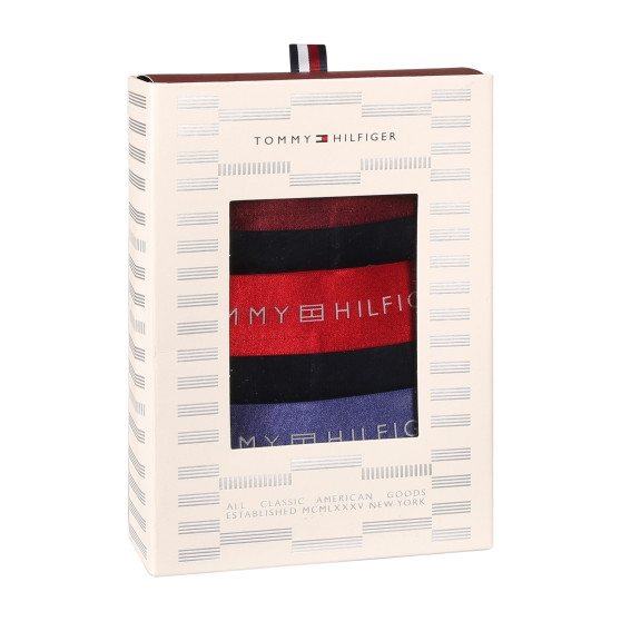 3PACK Herren Klassische Boxershorts Tommy Hilfiger schwarz (UM0UM03411 0WP)